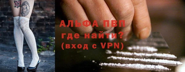 PSILOCYBIN Богородск