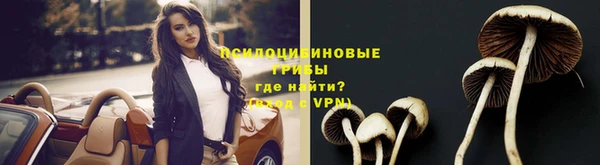 PSILOCYBIN Богородск