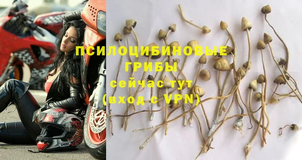 крисы Богданович