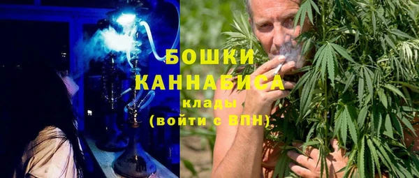PSILOCYBIN Богородск