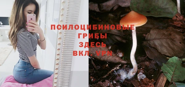 крисы Богданович