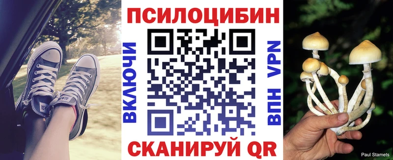 Псилоцибиновые грибы Magic Shrooms  мега вход  дарк нет телеграм  Краснозаводск 